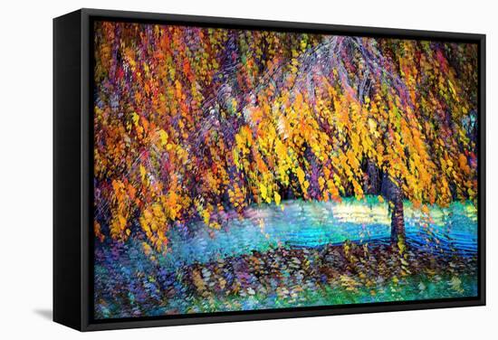 Electric Joy-Ursula Abresch-Framed Stretched Canvas