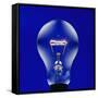 Electric Light Bulb-Lawrence Lawry-Framed Stretched Canvas