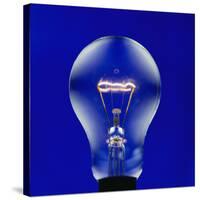 Electric Light Bulb-Lawrence Lawry-Stretched Canvas