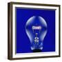 Electric Light Bulb-Lawrence Lawry-Framed Premium Photographic Print