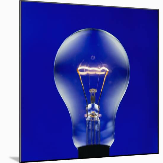 Electric Light Bulb-Lawrence Lawry-Mounted Premium Photographic Print