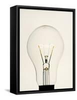 Electric Light Bulb-Lawrence Lawry-Framed Stretched Canvas