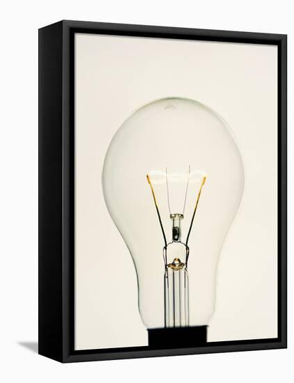 Electric Light Bulb-Lawrence Lawry-Framed Stretched Canvas