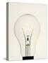 Electric Light Bulb-Lawrence Lawry-Stretched Canvas