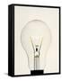 Electric Light Bulb-Lawrence Lawry-Framed Stretched Canvas