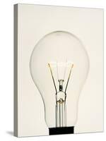 Electric Light Bulb-Lawrence Lawry-Stretched Canvas