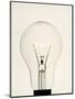 Electric Light Bulb-Lawrence Lawry-Mounted Premium Photographic Print