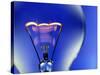 Electric Light Bulb-Lawrence Lawry-Stretched Canvas