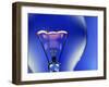 Electric Light Bulb-Lawrence Lawry-Framed Photographic Print