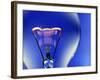 Electric Light Bulb-Lawrence Lawry-Framed Photographic Print