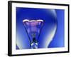 Electric Light Bulb-Lawrence Lawry-Framed Photographic Print