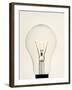 Electric Light Bulb-Lawrence Lawry-Framed Photographic Print