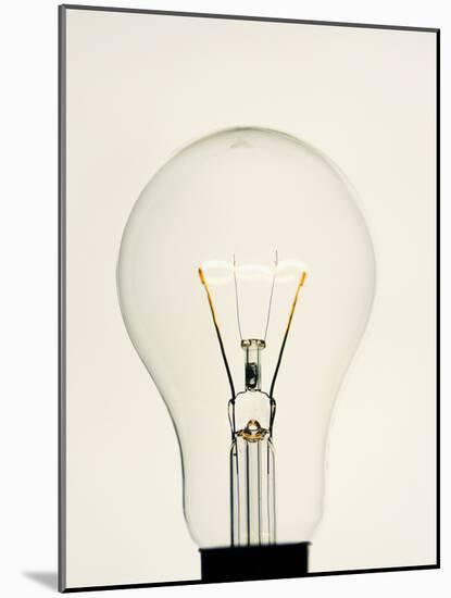 Electric Light Bulb-Lawrence Lawry-Mounted Photographic Print