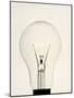 Electric Light Bulb-Lawrence Lawry-Mounted Photographic Print