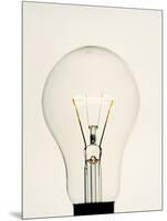 Electric Light Bulb-Lawrence Lawry-Mounted Photographic Print