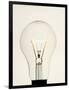 Electric Light Bulb-Lawrence Lawry-Framed Photographic Print