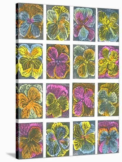 Electric Pansies-Mary Kuper-Stretched Canvas