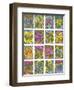 Electric Pansies-Mary Kuper-Framed Giclee Print