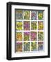 Electric Pansies-Mary Kuper-Framed Giclee Print