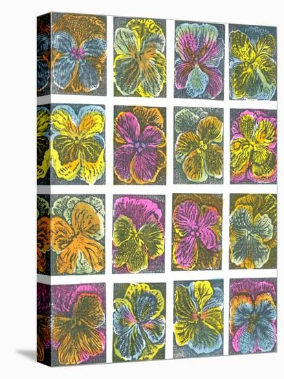 Electric Pansies-Mary Kuper-Stretched Canvas