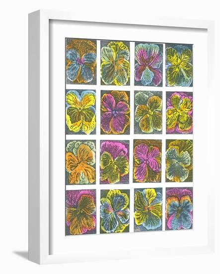 Electric Pansies-Mary Kuper-Framed Giclee Print