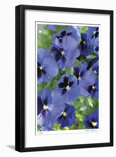 Electric Pansy-Stacy Bass-Framed Giclee Print