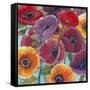 Electric Poppies 1-Norman Wyatt Jr^-Framed Stretched Canvas