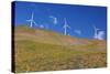 Electric Wind Turbine in Columbia River National Scenic Area, Washington State. Pacific Northwest-Craig Tuttle-Stretched Canvas