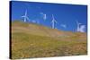 Electric Wind Turbine in Columbia River National Scenic Area, Washington State. Pacific Northwest-Craig Tuttle-Stretched Canvas