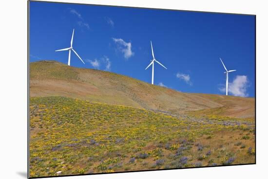 Electric Wind Turbine in Columbia River National Scenic Area, Washington State. Pacific Northwest-Craig Tuttle-Mounted Photographic Print
