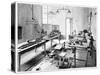 Electrical Certification, 19th Century-Science Photo Library-Stretched Canvas