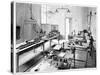 Electrical Certification, 19th Century-Science Photo Library-Stretched Canvas