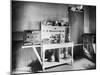 Electrical Heating and Cooking Appliances-null-Mounted Photographic Print