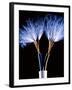 Electrical Wires-Adam Hart-Davis-Framed Photographic Print