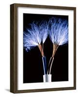 Electrical Wires-Adam Hart-Davis-Framed Photographic Print