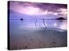 Electricity Cable Supplying Stilt House off Remote Island, Lesser Sunda Archipelago, Indonesia-Jay Sturdevant-Stretched Canvas