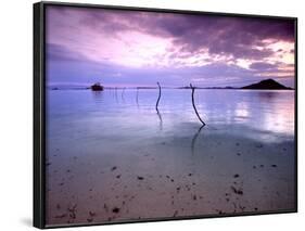 Electricity Cable Supplying Stilt House off Remote Island, Lesser Sunda Archipelago, Indonesia-Jay Sturdevant-Framed Photographic Print