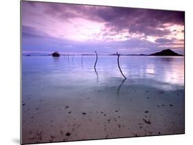 Electricity Cable Supplying Stilt House off Remote Island, Lesser Sunda Archipelago, Indonesia-Jay Sturdevant-Mounted Photographic Print