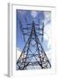 Electricity Pylon-Victor De Schwanberg-Framed Premium Photographic Print