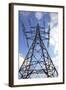 Electricity Pylon-Victor De Schwanberg-Framed Premium Photographic Print