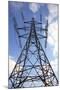 Electricity Pylon-Victor De Schwanberg-Mounted Premium Photographic Print