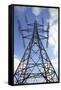 Electricity Pylon-Victor De Schwanberg-Framed Stretched Canvas