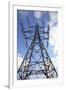 Electricity Pylon-Victor De Schwanberg-Framed Photographic Print