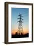 Electricity Pylons at Sunset-Liang Zhang-Framed Photographic Print