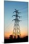 Electricity Pylons at Sunset-Liang Zhang-Mounted Photographic Print