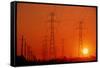 Electricity Transmission Lines At Sunset-David Nunuk-Framed Stretched Canvas