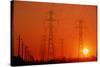 Electricity Transmission Lines At Sunset-David Nunuk-Stretched Canvas