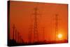 Electricity Transmission Lines At Sunset-David Nunuk-Stretched Canvas