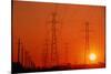 Electricity Transmission Lines At Sunset-David Nunuk-Mounted Photographic Print