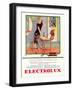 Electrolux, Magazine Advertisement, Spain, 1920-null-Framed Giclee Print